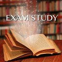 Exam Study Classical Music Orchestra - Concentration Harmony