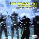 Live Tropical Fish - Feel Like a Bird