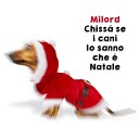 Milord - Chiss se i cani lo sanno che Natale