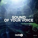 NoahStradamus feat VEGAS - Sound Of Your Voice Radio Edit