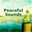 Calm Stress Oasis Relief - Divine Absolute Relaxation