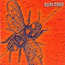 Twin Bees - The Northern Lights