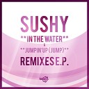 Sushy feat Buffering Inc - In the Water Dani B Jonathan Carey Remix…