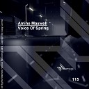 Amine Maxwell - Voice Of Spring Original Mix