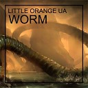 Little Orange UA - Worm Original Mix