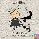 LinBit - Slice of Life Original Mix