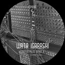 Wata Igarashi - Paranoid Original Mix