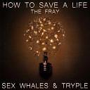 The Fray - How To Save A Life Sex Whales Tryple Remix