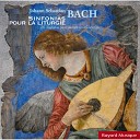 Helmuth Rilling Bach Collegium Stuttgart - Sinfonia in D Minor BWV 35 2