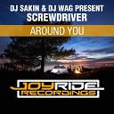 DJ Sakin DJ Wag Screwdriver - Around You DJ Sakin Mix