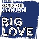 Seamus Haji - Give You Love Original Mix