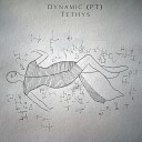 Dynamic PT - Tethys