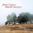 Jerry Garcia David Grisman - Down In The Valley