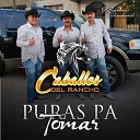 Caballos Del Rancho - Bebiendo Cresco