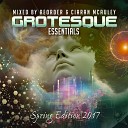 Ferry Corsten feat Aruna - Live Forever Gareth Emery Remix