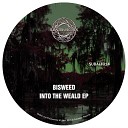 Bisweed - Shelter