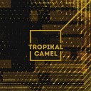 Tropikal Camel - War in the Middle East Pt 1