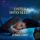 Joshua Forest - Lunar Lullaby