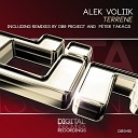Alek Voliik - Terrene dB9 Project Remix