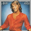 Andy Gibb - Fool For A Night