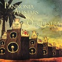 Pannonia Allstars Ska Orchestra - Cool It