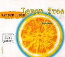 Foxter - Lemon tree