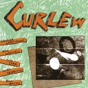 Curlew - The Bear