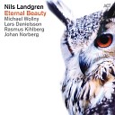 Nils Landgren Lars Danielsson Michael Wollny Johan Norberg Rasmus… - Broken Wings