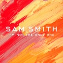 Sam Smith - I m Not The Only One Radio Edit