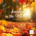 Wolfgang Plasa - Sunshine in the Morning