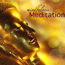 Meditation Guru - Shavasana