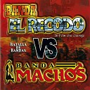 Banda El Recodo - Mis Dos Palomas