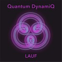 Quantum Dynamiq - Lauf