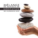 Meditation Zen Master New Age - Concentration profonde