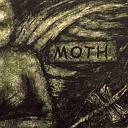 Moth - The Parade