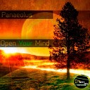 Panaeolus - Stop Original Mix