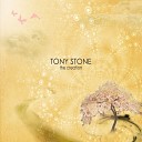 Tony Stone - We Made It