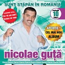 Nicolae Gu - Iubire Iarta Ma