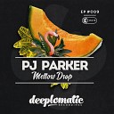 Pj Parker - Deep Into The Vibe Original Mix