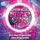 Peter Ellis - Shine Original Mix