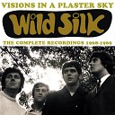 Wild Silk - Vision In A Plaster Sky