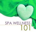 Wellness N Wellness - Spa Music with Water Sounds
