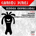 Carlos Pires - Hidden Expressions