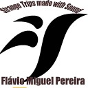 Fl vio Miguel Pereira - Dance for Techno