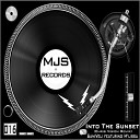 SamiVeli feat M lissa - Into The Sunset Chris Vision Remix