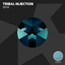 Tribal Injection - Do You Feel Original Mix