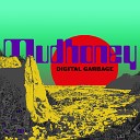 Mudhoney - Night and Fog