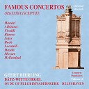 Geert Bierling - Violin Concerto No. 1 in D Major, Op. 3 (Arr. for Organ): II. Largo