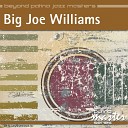 Big Joe Williams - I Won t Be In Hard Luck No More