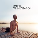 Zen Meditation and Natural White Noise and New Age Deep… - Calm Melodies